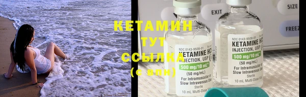 трава Пересвет