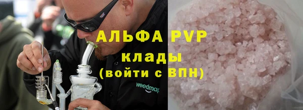 спиды Богданович