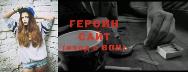 индика Бородино