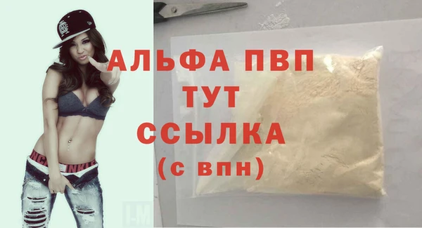 спиды Богданович
