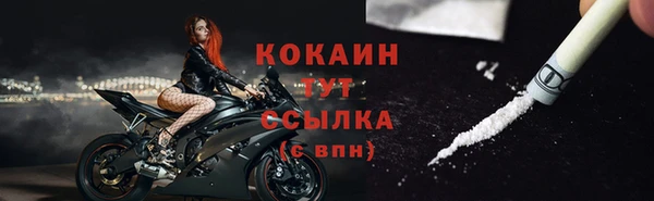 спиды Богданович
