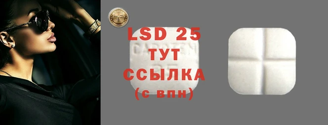 PSILOCYBIN Бронницы