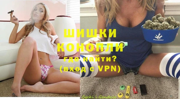 прущие грибы Белоозёрский
