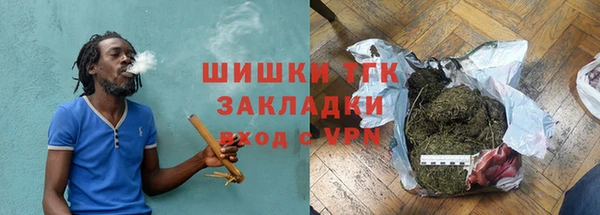 стаф Богородицк