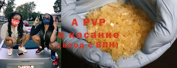 спиды Богданович