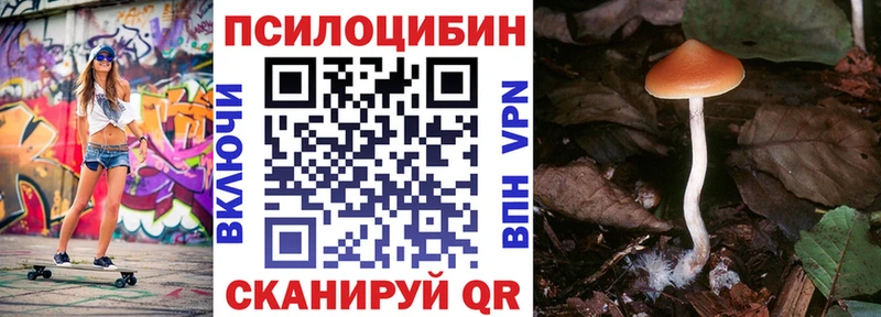Псилоцибиновые грибы MAGIC MUSHROOMS  продажа наркотиков  Верхняя Пышма 